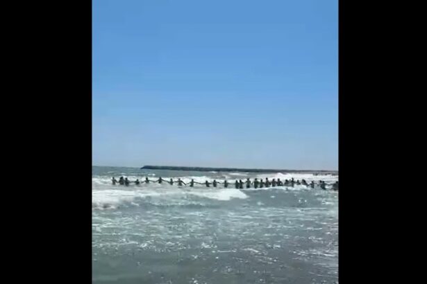video emotionant turistii au facut lant uman la jupiter pentru a i scoate din valuri pe cei doi copii si barbatul de 35 de ani de pe plaja delta 68a077b5bd14e