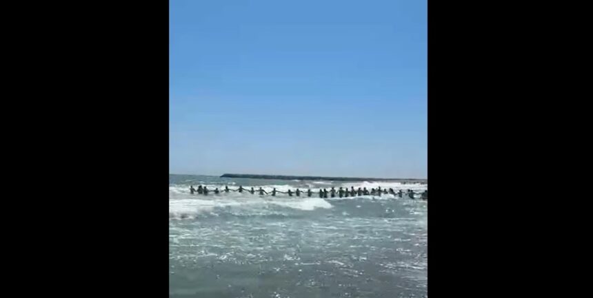 video emotionant turistii au facut lant uman la jupiter pentru a i scoate din valuri pe cei doi copii si barbatul de 35 de ani de pe plaja delta 68a077b5bd14e