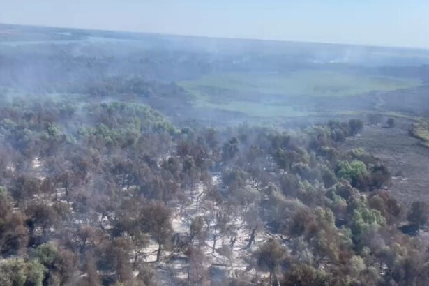 video incendii in delta dunarii pompierii incearca stingerea focului din aer si de pe apa 68986d72e5dc1
