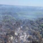 video incendii in delta dunarii sunt afectate aproape 70 de hectare de padure si vegetatie un alt foc a izbucnit in apropiere de plauru 68977052e5180