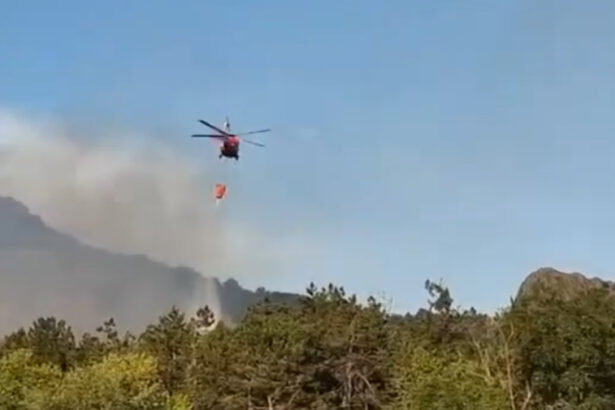 video incendiu de vegetatie in judetul tulcea flacari pe 6 hectare in zona chilia veche elicopter black hawk trimis la interventie 6890ea656d0e0