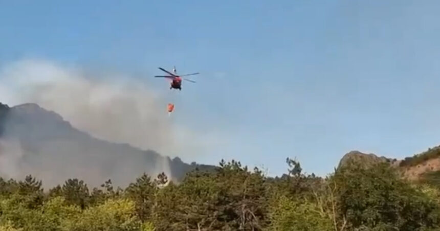 Incendiu de vegetație în județul Tulcea. Flăcări pe 6 hectare în zona Chilia Veche. Elicopter Black Hawk trimis la intervenție. 1 video incendiu de vegetatie in judetul tulcea flacari pe 6 hectare in zona chilia veche elicopter black hawk trimis la interventie 6890ea656d0e0