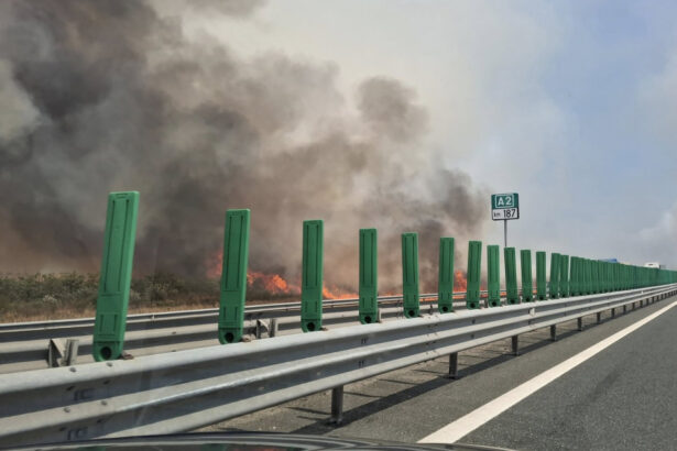 video incendiu de vegetatie langa autostrada soarelui pompierii intervin cu mai multe autospeciale traficul rutier afectat 688cb319f0ff4