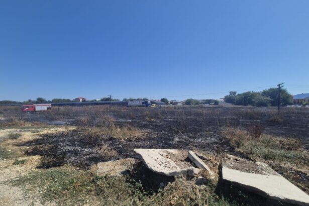 video incendiu in costinesti stins cu sprijinul jandarmilor si al politistilor 68a735d9e3c44
