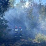 video incendiu in mahmudia judetul tulcea un incendiu de vegetatie uscata s a extins la anexe gospodaresti 68a74064af403