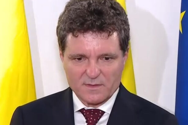 video nicusor dan magistratii din romania au muncit anii astia de doua trei ori mai mult decat omologii lor din tari europene 68b4472b6d712