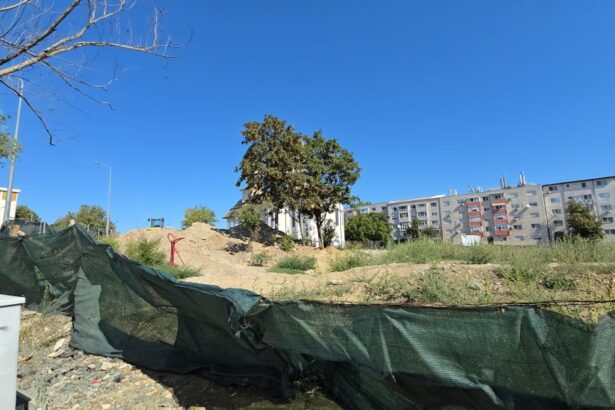 video nu mai lucreaza nimeni la parcul de la soveja santierul a fost abandonat ca si amenajarea noului cap de linie pentru autobuze 68a794a513e7f