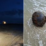 video o mina marina a fost descoperita pe plaja de la vadu aceasta a fost neutralizata 68b4929427f75