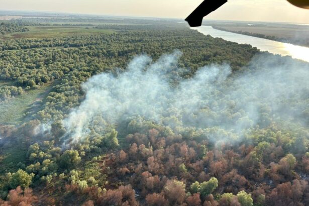 video pompierii din tulcea continua lupta cu flacarile la chilia veche elicoptere black hawk au efectuat peste 133 de aruncari cu apa 68962e8fe58c5
