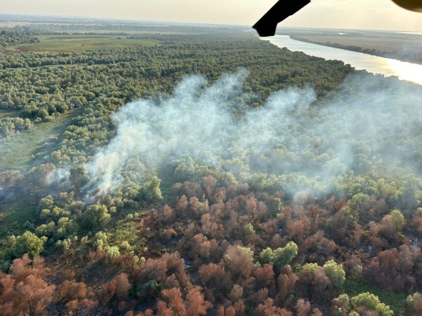Pompierii din Tulcea continuă lupta cu flăcările la Chilia Veche, cu elicoptere Black Hawk efectuând peste 133 de aruncări cu apă. 1 video pompierii din tulcea continua lupta cu flacarile la chilia veche elicoptere black hawk au efectuat peste 133 de aruncari cu apa 68962e8fe58c5