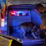 video razii de amploare in constanta mamaia agigea si cumpana politistii au sanctionat 100 de soferi 68a1c5a7421dd