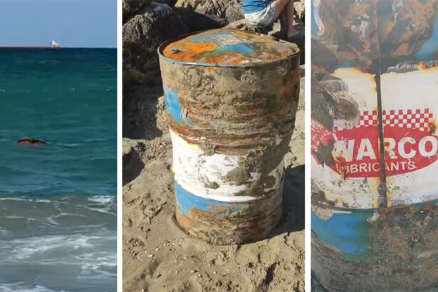 video risc ecolog major pe plaja din eforie doua butoaie cu ulei industrial gasite plutind in deriva intervin pompierii 689f37c1da573