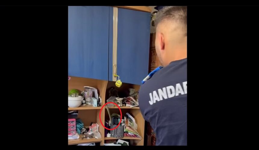 video un sarpe dintr o specie rara si protejata capturat de jandarmii de la detasamentul mangalia intr o casa din cumpana 6897524fa8fc1
