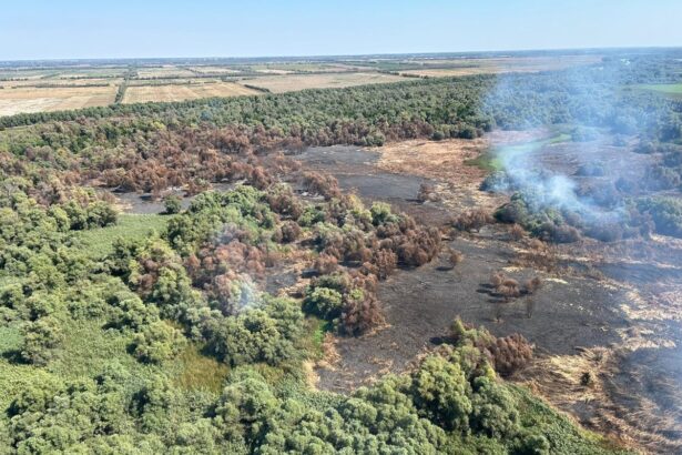 video vesti bune incendiul violent din delta dunarii zona sireasa a fost lichidat elicopterul black hawk a facut peste 50 de aruncari de apa 68a4a104081bf