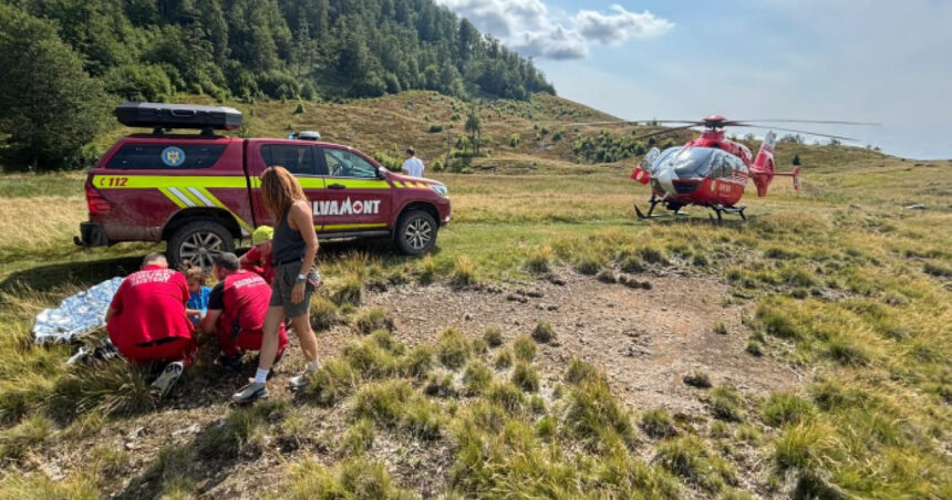 videofoto copil muscat de vipera intr o zona turistica din maramures preluat de un elicopter smurd 6894fe8bd785c