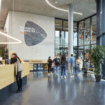 zalando lanseaza in romania un program de loialitate 68a43094a61b1