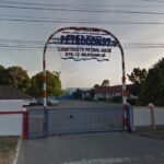 actionarii petroconst sa au aprobat situatiile financiare si distribuirea de dividende pentru anul 2024 68c10e45d0f28