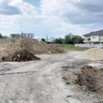 administratia locala obligata prin hotarare judecatoreasca sa salubrizeze o strada din compozitori si sa toaleteze copacii in urma reclamatiilor unor locuitori 68b4cab600b86