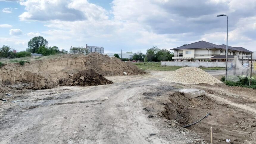 administratia locala obligata prin hotarare judecatoreasca sa salubrizeze o strada din compozitori si sa toaleteze copacii in urma reclamatiilor unor locuitori 68b4cab600b86