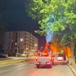 administratia locala obligata sa reia licitatia de 73 de milioane de lei pentru dezinsectie si deratizare 68b78649182cd