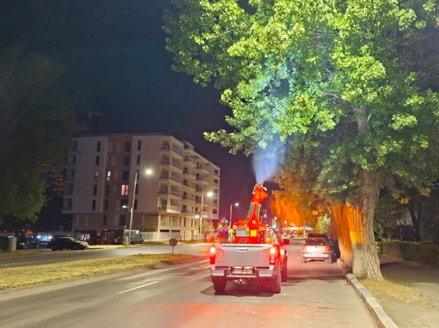 administratia locala obligata sa reia licitatia de 73 de milioane de lei pentru dezinsectie si deratizare 68b78649182cd