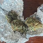 adolescent depistat de jandarmi cu substante interzise in municipiul constanta 68c8048842c5f