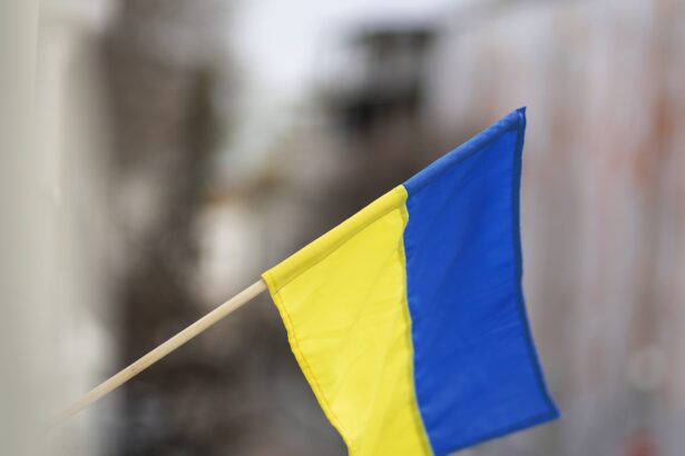 ajutorul militar al romaniei pentru ucraina secret de stat ce spune ministrul apararii 68c584cec35f2