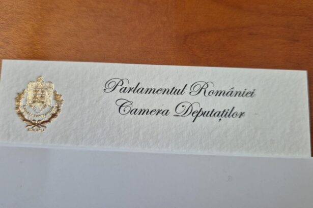 carti de vizita cu foita de aur pentru parlamentari cateodata realitatea bate gluma spune presedintele comisiei de tehnologia informatiei 68c41e6c767df