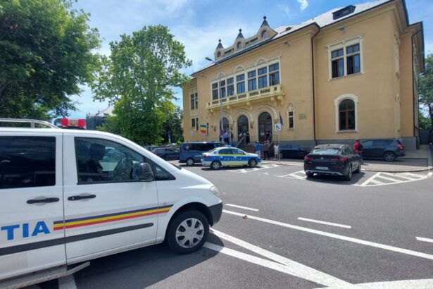 cea mai sincera audiere din instanta la constanta beau zilnic dupa program cum face orice om dau mancare la furnici 68c7351039e8d