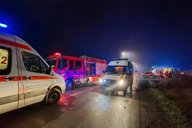 condamnati dupa ce interceptarile i au dat de gol s a rasturnat cu masina la constanta dar a incercat sa dea vina pe decedat 68cb25fd06e6d