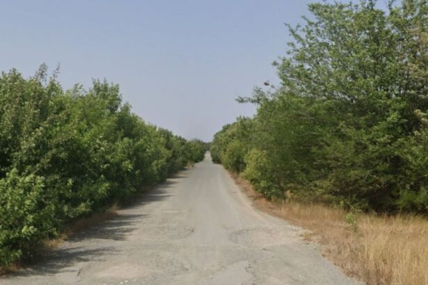 consiliul judetean constanta mai face un pas pentru modernizarea drumului judetean pecineaga amzacea 68b9ca9cbc162