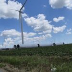 constanta proiectul parcului eolian de la amzacea avizat fara evaluarea impactului asupra mediului vezi cine este investitorul 68c2fa6e0c1f7