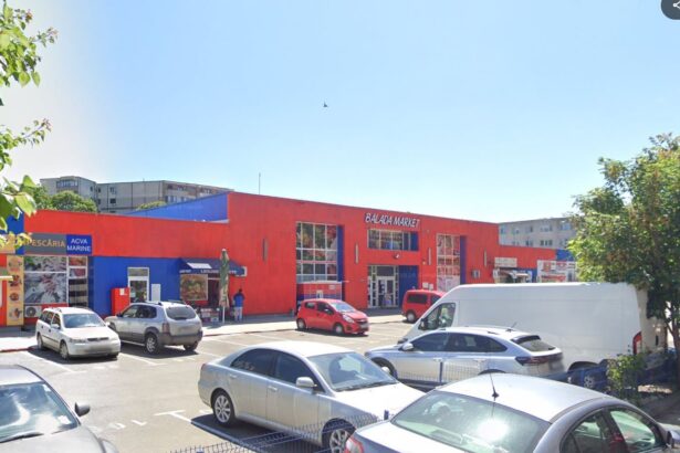 constanta societatea balada shopping market srl va elabora un plan urbanistic zonal pentru piata balada 68b6ef70d1523