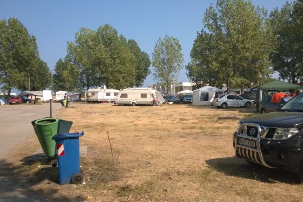 contracte controversate si un teren disputat avea voie mamaia sa sa l vanda dosarul se va transa la curtea de apel 68ba09c13a027