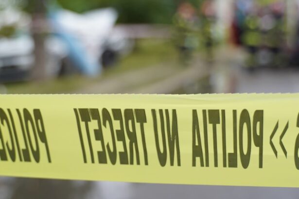 crima la murfatlar un barbat a fost injunghiat mortal principalul suspect este sotia sa 68d64216d9e88