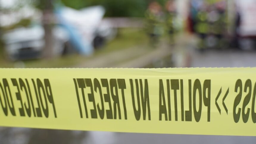 crima la murfatlar un barbat a fost injunghiat mortal principalul suspect este sotia sa 68d64216d9e88