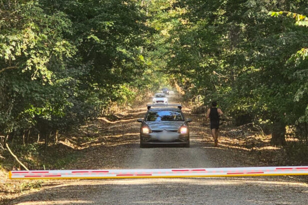 dezbatere privind interzicerea accesului auto in padurea baneasa platforma centura verde cere aplicarea legii pe aici nu se trece 68ba7c5f5b69c