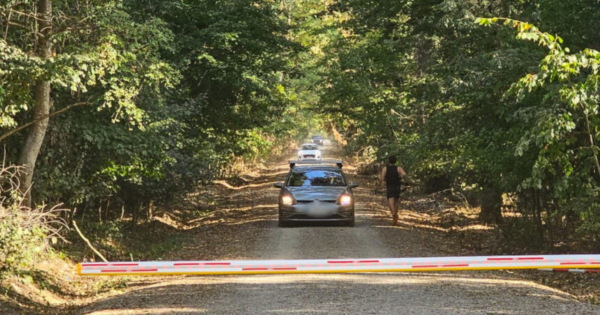 dezbatere privind interzicerea accesului auto in padurea baneasa platforma centura verde cere aplicarea legii pe aici nu se trece 68ba7c5f5b69c