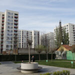 exclusiv diana buzoianu despre constructiile din parcurile capitalei in goana dupa profit se arunca la gunoi sanatatea a milioane de oameni 68dc3d91e8a70