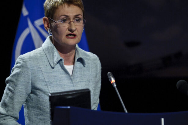 exclusiv oana lungescu fost purtator de cuvant nato vedem actiuni tot mai nesabuite ale rusiei dar articolul 4 nu duce neparat la articolul 5 68c29d665cbcb