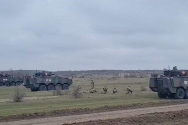 exercitiu militar nato in romania peste 5 000 de militari din zece state aliate participa la dacian fall 2025 68c468042beb9