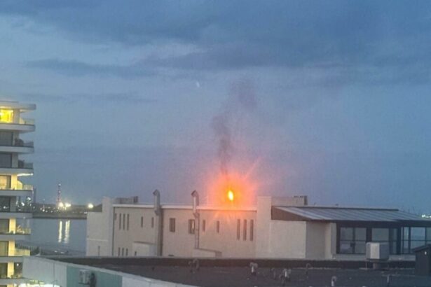 flacara uriasa si fum gros in zona navodari corbu ce transmit reprezentantii garzii de mediu constanta 68d02245dc8f0