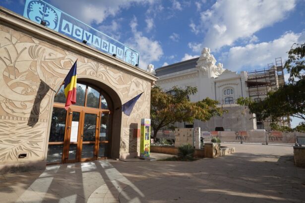 florin mitroi am demarat toate procedurile pentru ca acvariul din constanta sa fie sigur si modern 68b8bf2e1cfcf