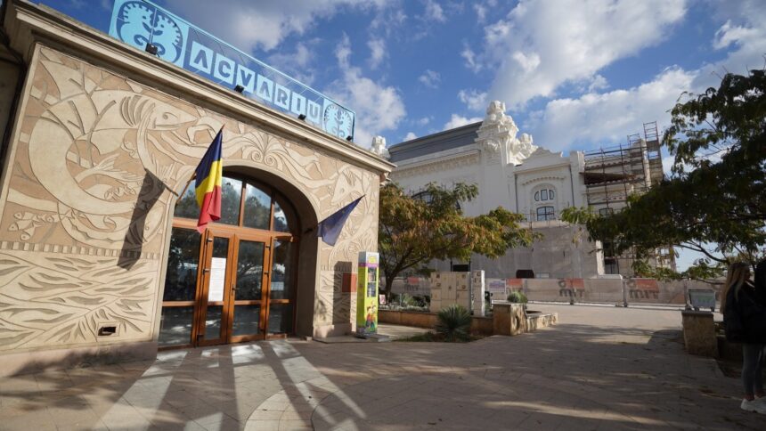 Florin Mitroi: „Am început toate procedurile pentru ca Acvariul din Constanța să fie sigur și modern“ 1 florin mitroi am demarat toate procedurile pentru ca acvariul din constanta sa fie sigur si modern 68b8bf2e1cfcf