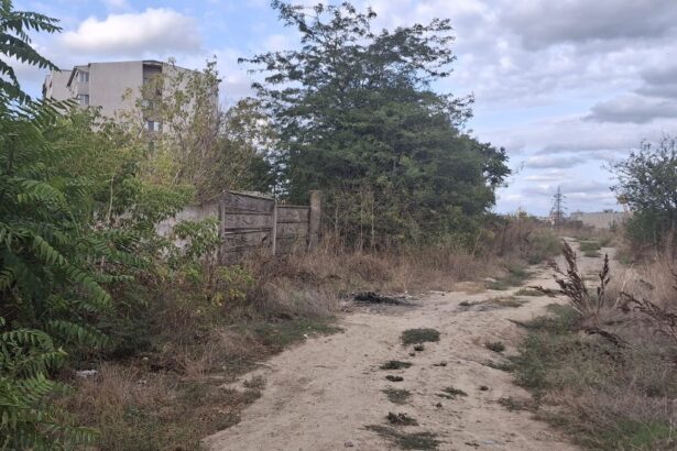 foto gunoaie si vegetatie salbatica langa blocuri aleea scafandrilor din constanta transformata intr un focar de mizerie 68d60691963e7