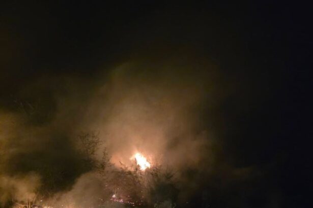 foto incendiu de vegetatie intre canlia si dervent noua focare descoperite pe o suprafata de 30 de hectare 68d4d132234f9