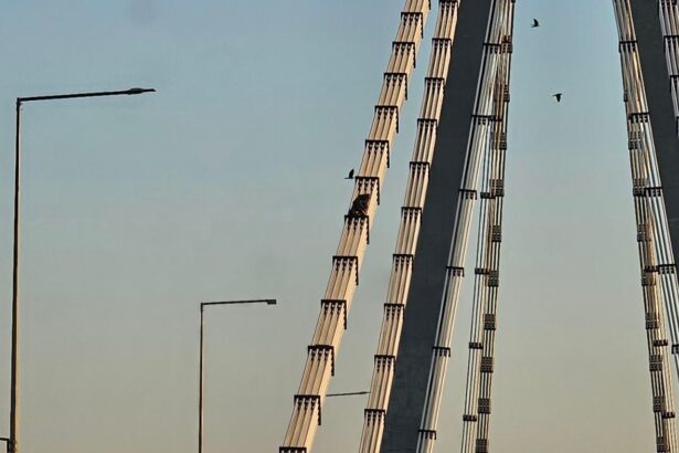 foto un barbat s a cocotat pe podul agigea live pe tiktok e acelasi care ameninta in 2008 ca l arunca in aer 68be800ae7da1