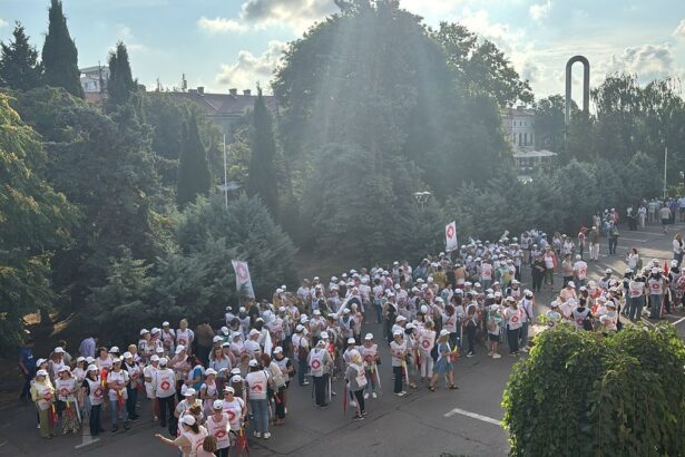 foto video actiune in fata prefecturii constanta sindicatul sanitas protesteaza fata de blocarea angajarilor in sanatate si asistenta sociala 68c1156973134
