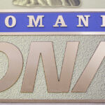 frauda cu tva in romania cum functiona reteaua pe care dna o acuza ca a prejudiciat statul cu 20 de milioane de euro 68b997b7a5dd9