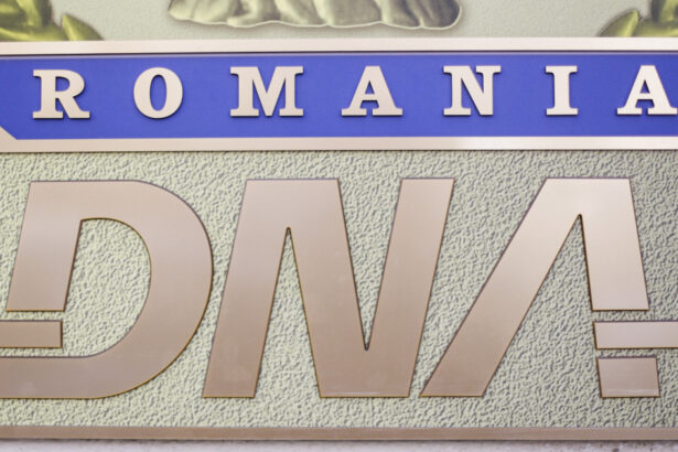 frauda cu tva in romania cum functiona reteaua pe care dna o acuza ca a prejudiciat statul cu 20 de milioane de euro 68b997b7a5dd9